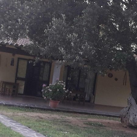 Agriturismo La Tuva Villa Padru Eksteriør billede