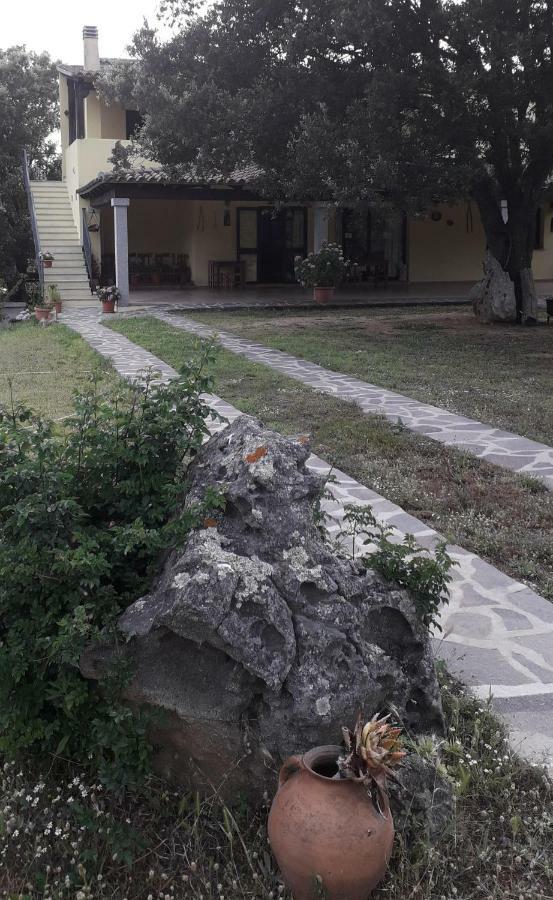 Agriturismo La Tuva Villa Padru Eksteriør billede